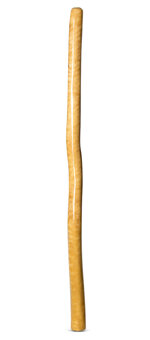 High Gloss Finish Didgeridoo (NW154)